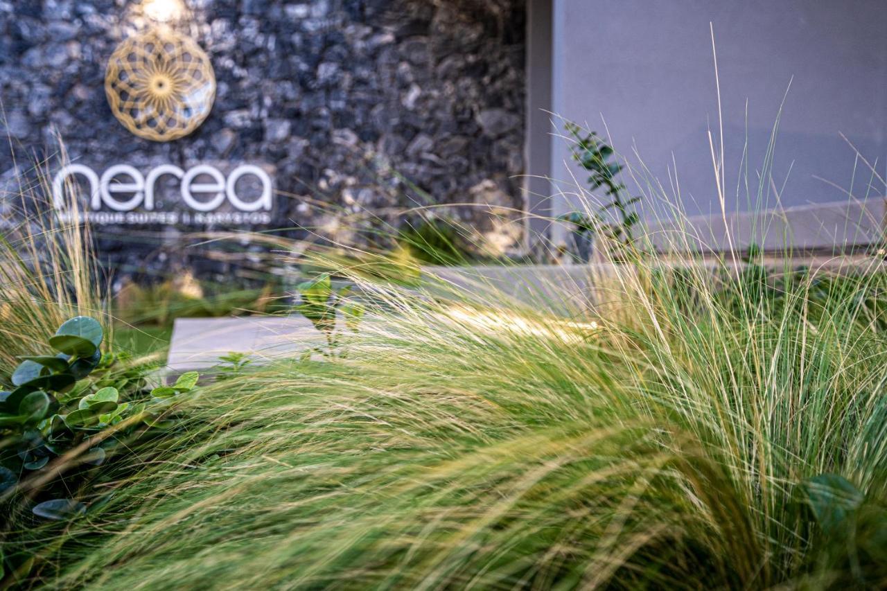 Nerea Boutique Suites Karystos 외부 사진